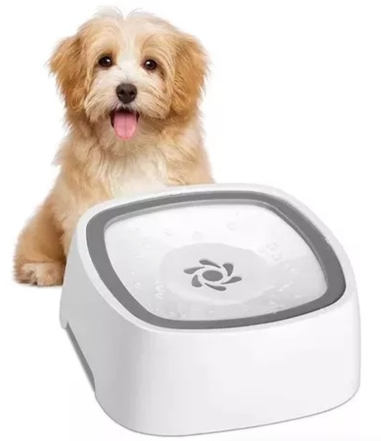 CUENCO ANTISALPICADURAS PARA TUS MASCOTA